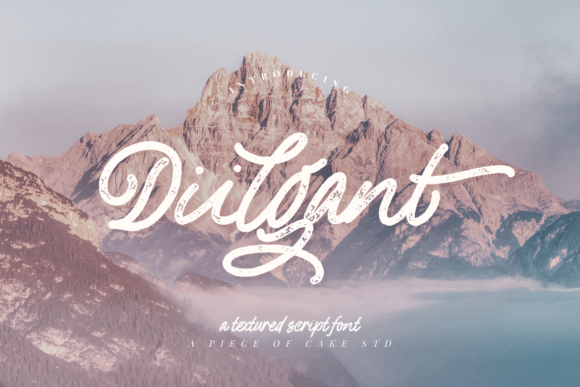Diilgant: The Perfect Script Font for Handmade Branding