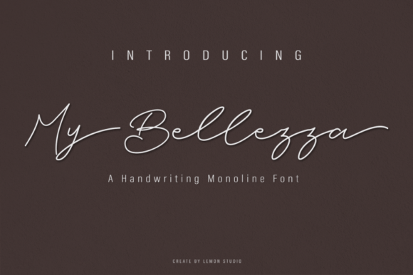 My Bellezza: A Designer’s Take on Script Typography for Modern Web Layouts