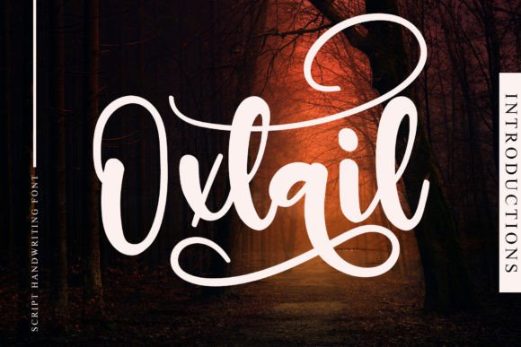 Oxtail: The Script Font That Elevates Campaign Visuals