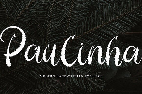 Paulinha Script Font: Elevate Your Brand Identity