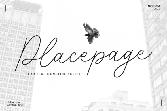 Placepage: A Delicate Script Font for Editorial Design