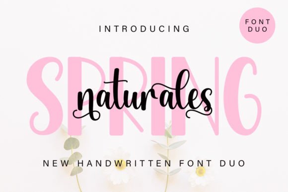 Spring Naturales Duo: A Stylish Script and Sans Serif Typeface for Brand Identity