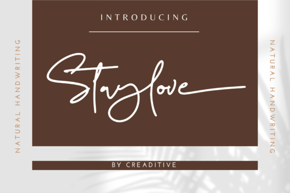 Staylove: A Graceful Script Font for Modern Web Design