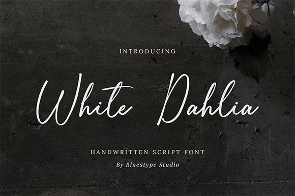 White Dahlia: A Handwritten Script Font for Romantic Brand Identity