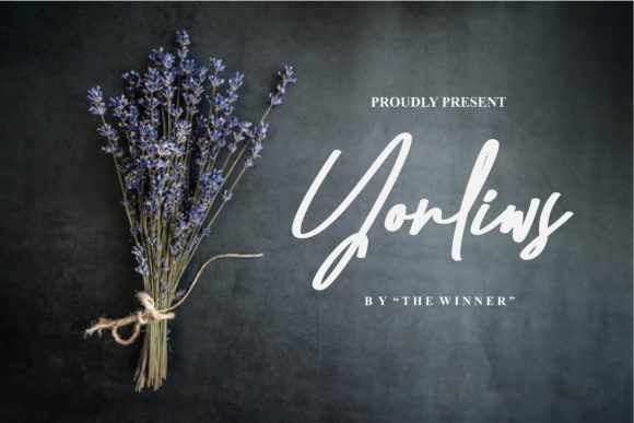 Yonliws: A Luxurious Script Font for Modern Web Design
